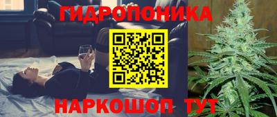 прущие грибы Гай