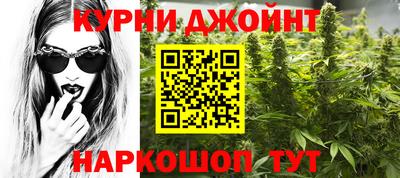 прущие грибы Гай