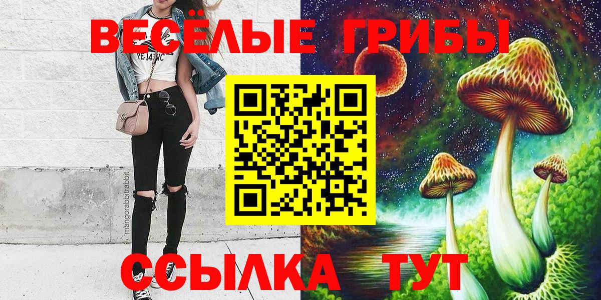 Галлюциногенные грибы Cubensis Малгобек