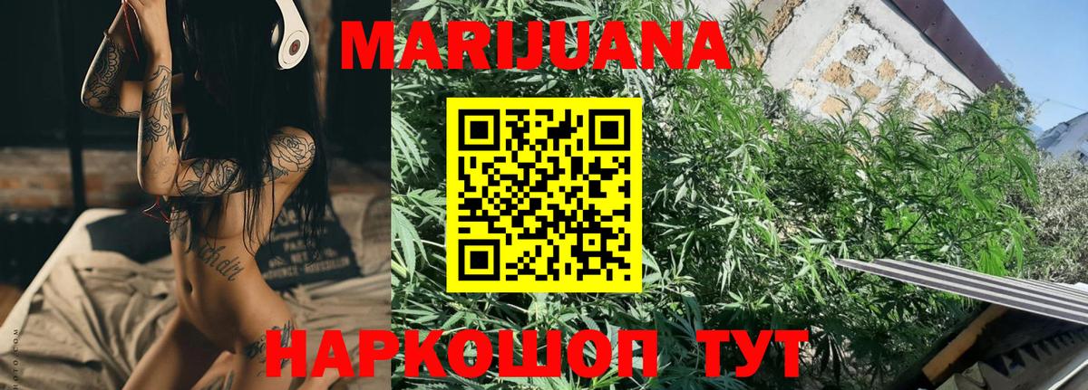 Канабис конопля Малгобек